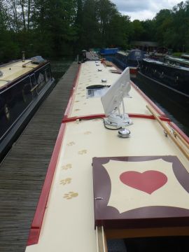 photo of pawprints on roof