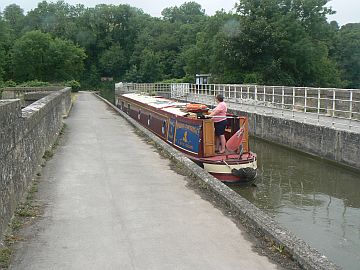 photo of Paws, crossing aqueduct