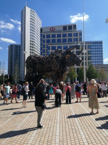 photo of Commonwealth Games 'Bull'