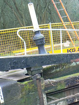 photo of gate collars