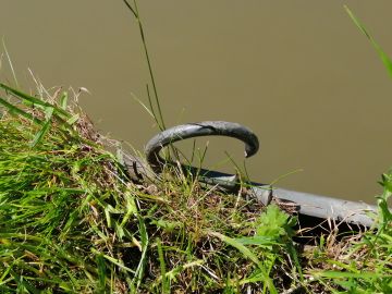 photo of broken mooring