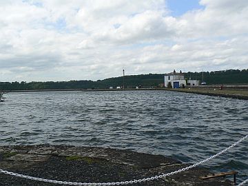 photo of Old Arm